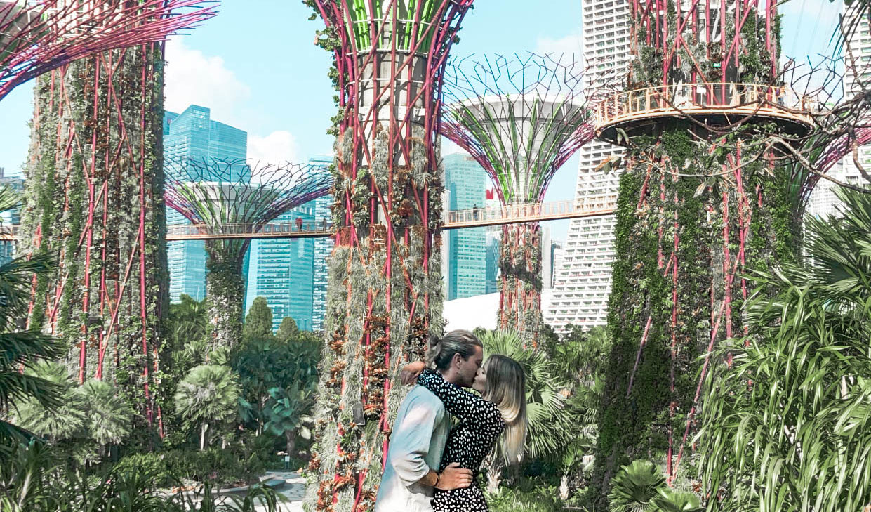 Ultimate Travel Guide To Singapore - gardens by the bay