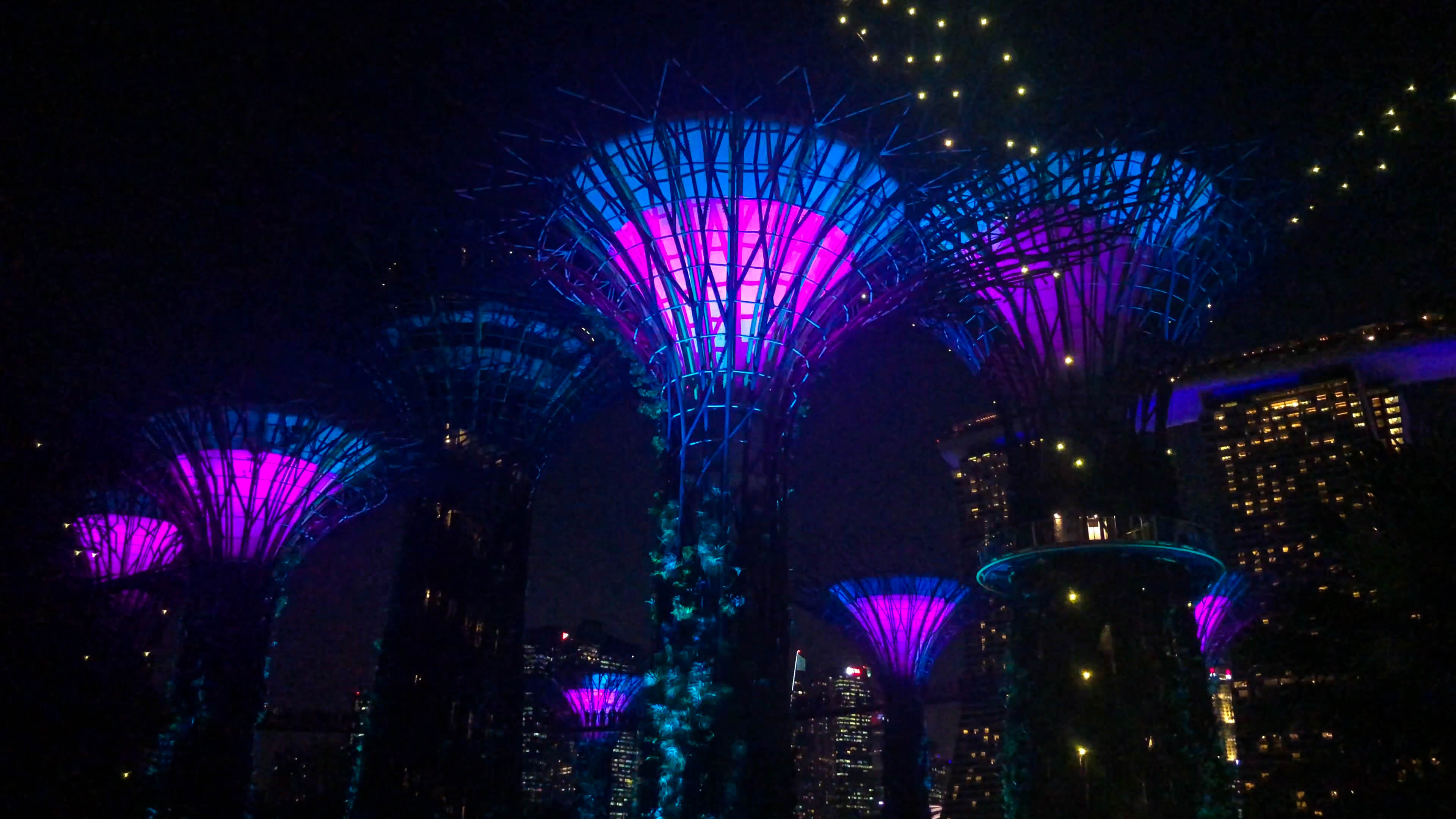 TWO DAYS IN SINGAPORE - night show