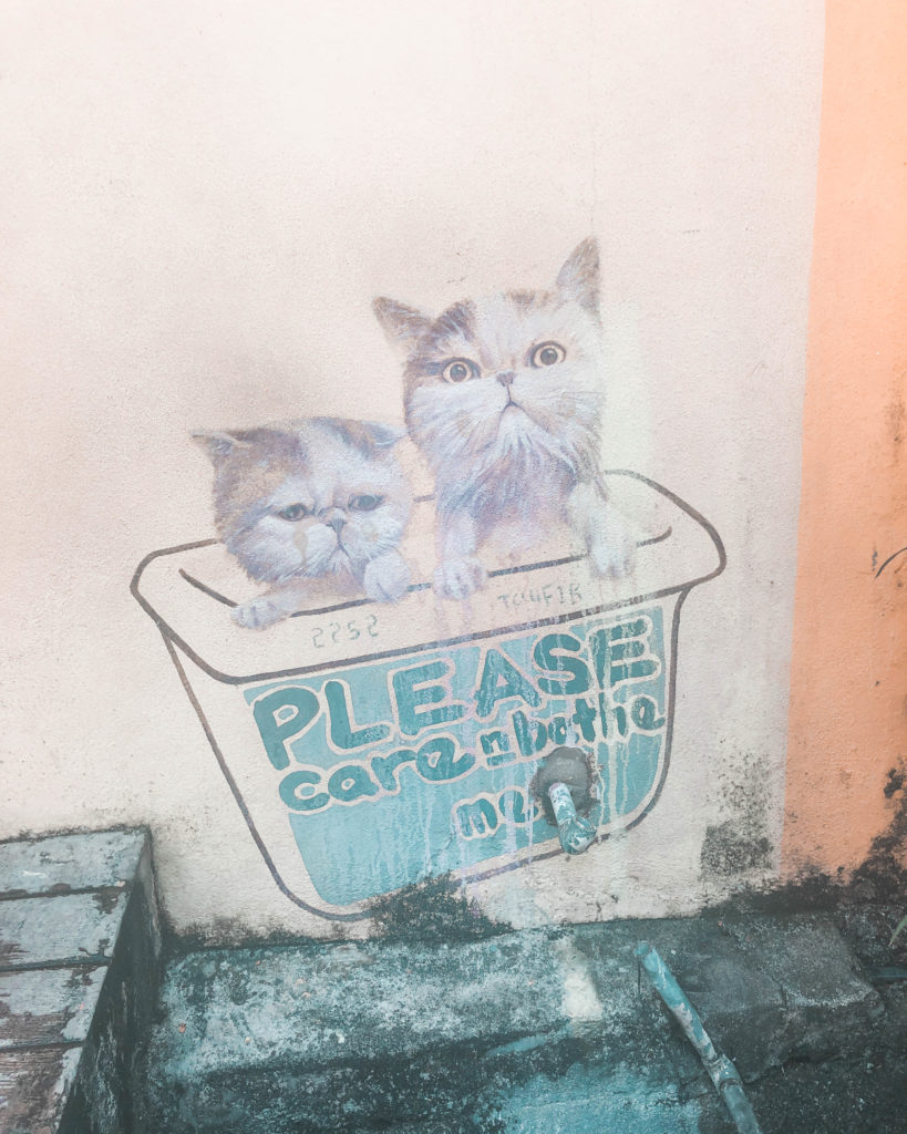 A Travel Guide to Penang - mural cat in box