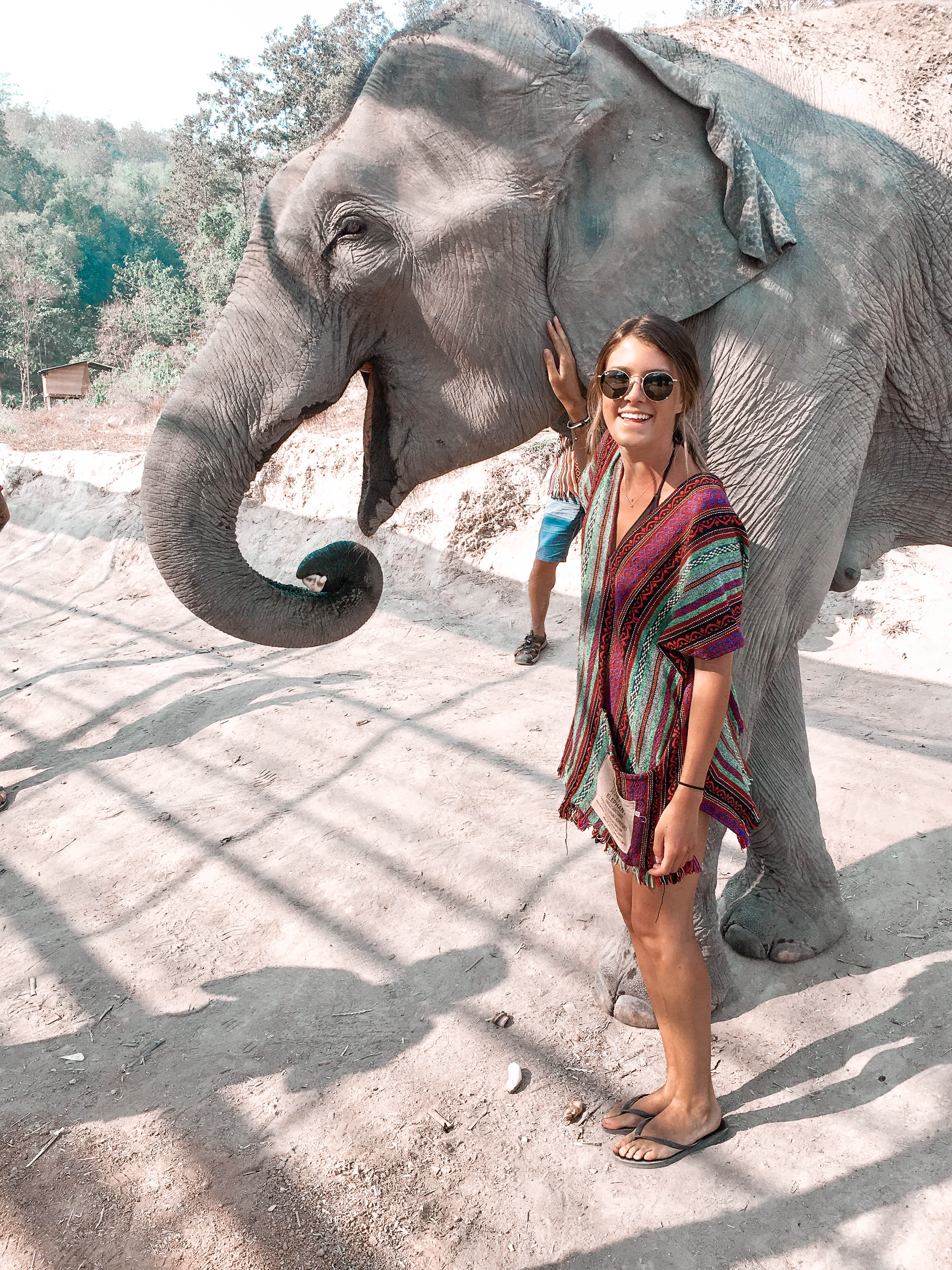 Chiang Mai Travel guide - elephant sanctuary 